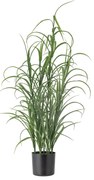 Fű műnövény (magasság 92 cm) Grass – Bloomingville