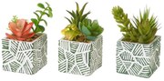 Műnövény szett 3 db-os (magasság 12 cm) Cactus – Casa Selección