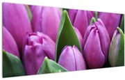 Kép - tulipánok (120x50 cm)