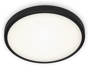 Briloner 3455-015 - LED Mennyezeti lámpa MANNY LED/12W/230V