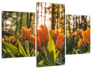 Narancssárga tulipán képe (90x60 cm)