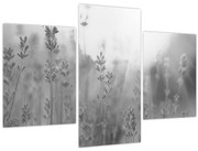 Kép - Levendula (90x60 cm)