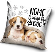 Kutyás Home párnahuzat 40x40 cm Velúr