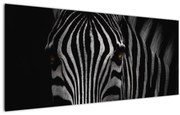 Zebra képe (120x50 cm)