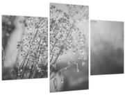 Kép - Mező az eső után (90x60 cm)