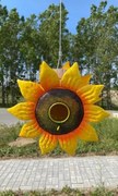 Sunflower madárház