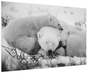 Kép - Jegesmedvék (90x60 cm)