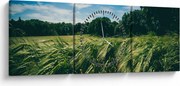 Rét és az erdő képe (órával) (90x30 cm)