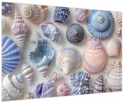 Kép - Kagylógyűjtemény (90x60 cm)