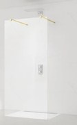 SAT Walk-in zuhanyparaván 60 cm SATBWI60PRMO