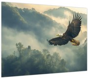 Kép - Repülő sas (70x50 cm)