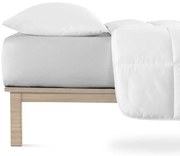 Világosszürke gumis jersey lepedő 160x200 cm Boxspring – Andrea Simone