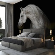 Fotótapéta - Fehér Ló (152,5x104 cm)