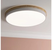 Brilliant - LED Dimmelhető mennyezeti lámpa BAARLO LED/36W/230V átm. 50 cm fehér + távirányító