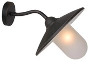 Lucide 11870/01/97 - Kültéri fali lámpa ARUBA 1xE27/60W/230V