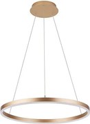 Palnas 62004594 - Csillár zsinóron DONA LED/62W/230V á. 80 cm
