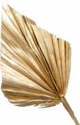 Szárított Arany Pálma Nyíl szárító váza