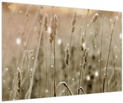 Kép - Harmonikus rét (90x60 cm)