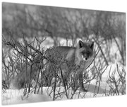 Kép - Róka télen (90x60 cm)