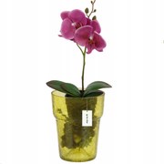 Fedő üveg orchidea kaspó D 15,5cm H 18cm sárga pókháló Nagy