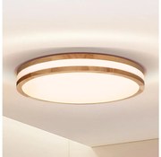 Brilagi Brilagi - LED Mennyezeti lámpa MOLINA LED/24W/230V tölgy BG1623