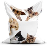 Classic babzsák kiskutyák és kiscicák - gyerek, bézs / fehér