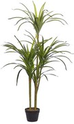 Cserepes Műnövény 147 cm DRACAENA ANITA Beliani