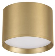 Ziaza LED mennyezeti spotlámpa