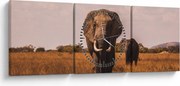 Kép - Az elefánt érkezése (órával) (90x30 cm)