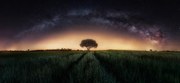 Fotográfia Milky way over lonely tree, Ivan Ferrero