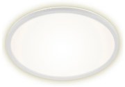 Briloner Briloner 7157-416 - LED Mennyezeti lámpa SLIM LED/22W/230V átmérő 42 cm BL1022