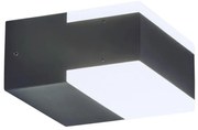 Rabalux Rabalux 8060 - LED Kültéri fali lámpa BONA 2xLED/4,5W RL8060