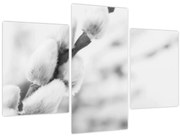 Kép - A tavasz kezdete (90x60 cm)