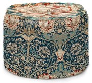 Puff Honeysuckle – Tierra Bella