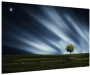 Az aurora borealis képe egy lápvidéken (90x60 cm)