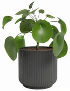 Kerámia virágcserép ø 19 cm Luna – Artevasi