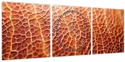Kép - Textúra részlet (órával) (90x30 cm)