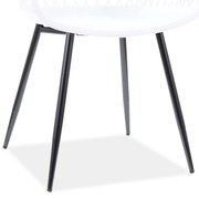 AKCIÓ Fehér műanyag szék CORRAL B II. osztály