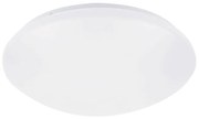 Rabalux Rabalux 71132 - LED Mennyezeti lámpa érzékelővel LUCAS LED/12W/230V IP44 4000K RL71132
