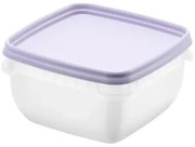SmartStore Műanyag dobozok szett Freezer 5 db,levan dule, 500 ml, 500 ml