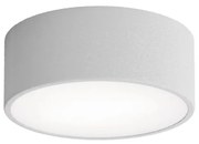 Fürdőszobai mennyezeti lámpa CLEO 1xE27/24W/230V átm. 20 cm szürke IP54