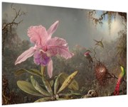 Kép - Martin Johnson Heade, Cattleya Orchid and Three Hummingbirds, reprodukciók (90x60 cm)