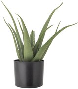 Műnövény (magasság 61 cm) Aloe – Bloomingville