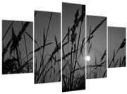 Kép - rét naplementével (150x105 cm)