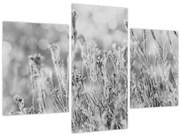 Kép - Hideg tél (90x60 cm)