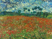 Reprodukció Poppy Fields, Vincent van Gogh