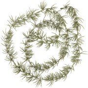 IB Laursen Cédrusfüzér 150 cm