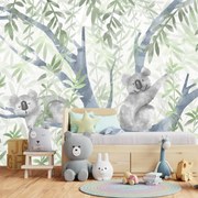 Fotótapéta - Koalák (147x102 cm)