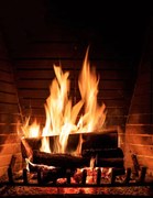 Fotográfia Fireplace burning wood logs, cozy warm home christmas time, Rawf8