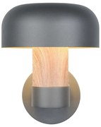 Fali kültéri lámpa (magasság 24,5 cm) Fraser – Trio